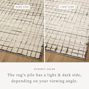 Loloi X Jeremiah Brent Bleecker 9\'-2\" X 13\' Rug