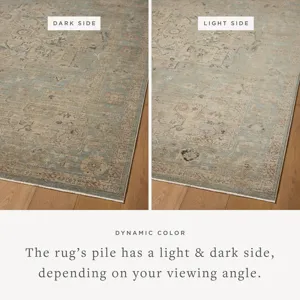 Loloi Briar Sky / Moss 2\'-6\" x 4\'-0\" Rug