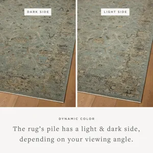 Loloi Briar Aqua / Olive 2\'-6\" x 4\'-0\" Rug