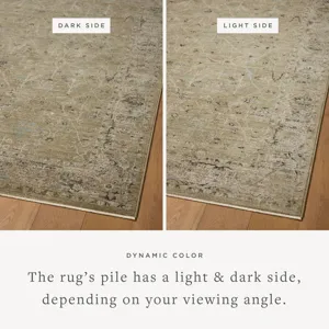 Loloi Briar Olive / Stone 2\'-6\" x 4\'-0\" Rug
