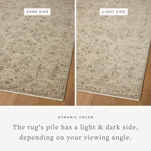 Loloi Briar Silver / Moss 2\'-6\" x 4\'-0\" Rug