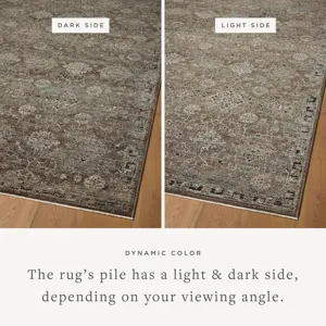 Loloi Briar Bark / Lagoon 5\'-3\" x 7\'-6\" Rug