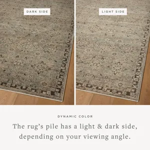 Loloi Briar Mist / Granite 2\'-6\" x 4\'-0\" Rug