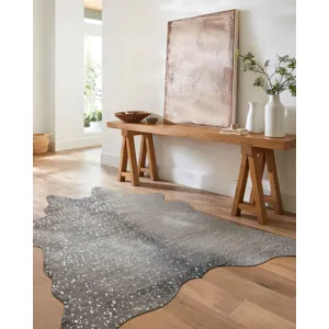 Bryce Graphite / Silver Rug (3' 10" X 5')
