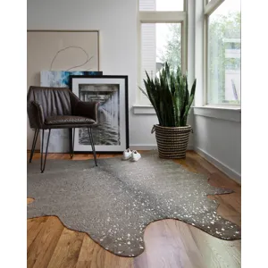 Bryce Graphite / Silver Rug (3' 10" X 5')