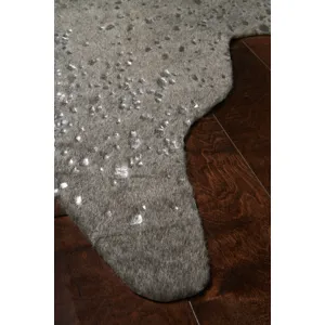 Bryce Graphite / Silver Rug (3' 10" X 5')