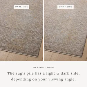 Loloi X Amber Lewis Cali 2\'-3\" X 3\'-11\" Rug