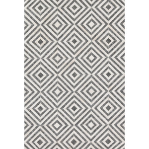 Dorado Charcoal / Ivory Rug