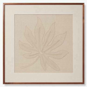 Schefflera