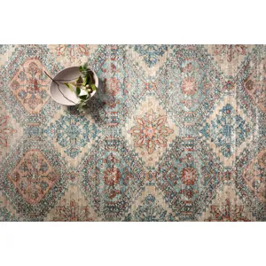 Elise Multi / Blue Rug (2' 8" X 13')
