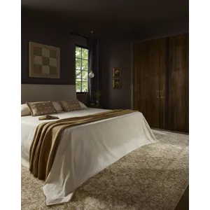 Loloi Elora Moss / Clay Rug