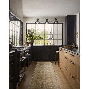 Elanor B 2X3 Rug