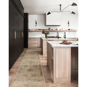 Giada Silver Sage Rug (2' 7" X 10' 0")