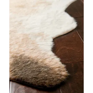 Loloi II Grand Canyon 3\'-10\" X 5\' Rug