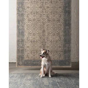 Loloi X Ed Ellen Degeneres Huntington 7\'-10\" X 10\'-10\" Rug