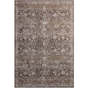 Amber Lewis X Loloi Josie Rug