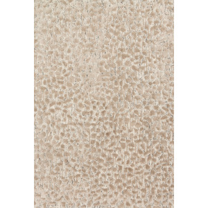 Juneau Ash / Taupe Rug