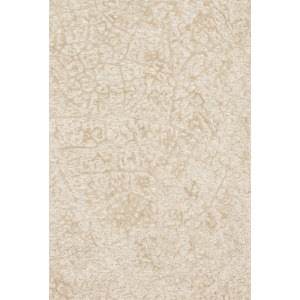 Juneau Ant Ivory / Beige Rug