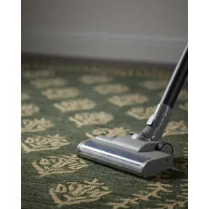 Rifle Paper Co. x Loloi Lisette Forest / Oatmeal Rug