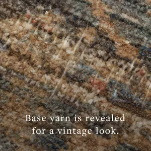 Loloi X Amber Lewis Molly 11\'-6\" X 15\'-6\" Rug