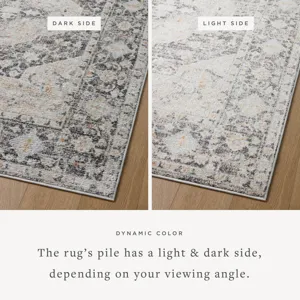 Loloi II Monroe 2\'-6\" X 5\'-9\" Rug