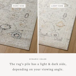 Loloi II Monroe 2\'-6\" X 5\'-9\" Rug