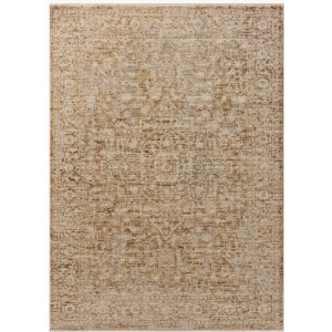Loloi Newman Rug