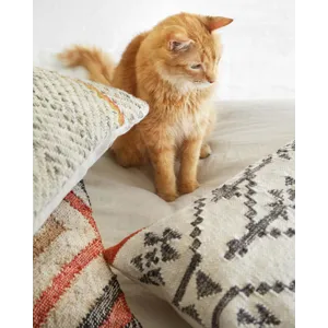 Loloi X Ed Ellen Degeneres 22\" X 22\", Down-Filled Pillow