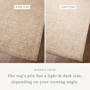 Chris Loves Julia x Loloi Palma Bark / Natural 2\'-3\" x 3\'-10\" Rug