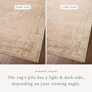Chris Loves Julia x Loloi Palma Spice / Natural 9\'-6\" x 13\'-1\" Rug