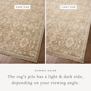 Chris Loves Julia x Loloi Palma Lagoon / Natural 3\'-6\" x 5\'-6\" Rug
