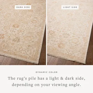 Chris Loves Julia x Loloi Palma Natural / Spice 3\'-6\" x 5\'-6\" Rug