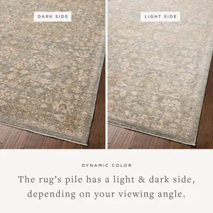 Chris Loves Julia x Loloi Palma Blue / Natural 2\'-3\" x 3\'-10\" Rug