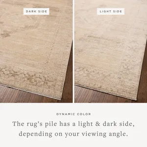 Chris Loves Julia x Loloi Palma Wheat / Taupe 2'-7" x 7'-6" Rug