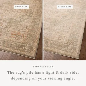 Chris Loves Julia x Loloi Palma Olive / Spice 5\'-3\" x 7\'-6\" Rug
