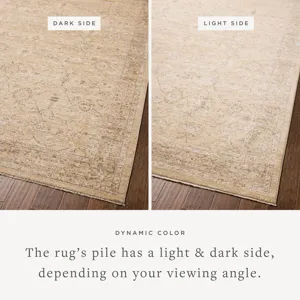 Chris Loves Julia x Loloi Palma Wheat / Bark 2\'-7\" x 7\'-6\" Rug