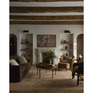 Loloi Reign Terracotta / Sky Rug
