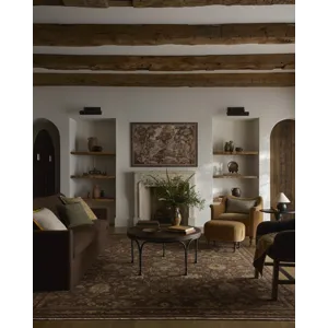 Loloi Reign Earth / Clay Rug