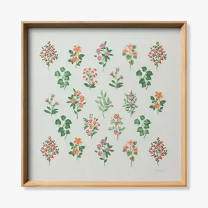 Loloi X Rifle Paper Co. 25\" X 25\" Wall Art