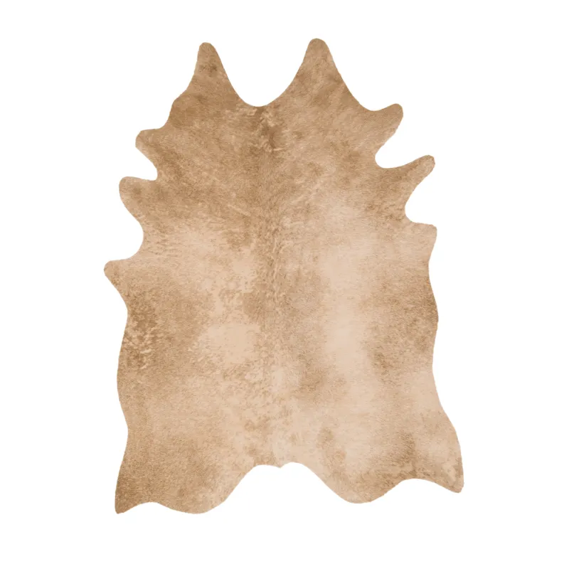 Grand Canyon Tan Rug (3' 10" X 5')