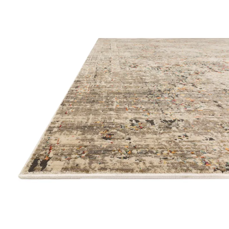 Javari Grey / Multi Rug (2' 6" X 4' 0")