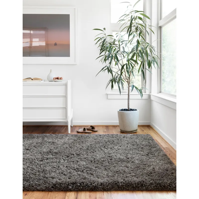Mila Shag Charcoal Rug (2' 3" X 3' 9")