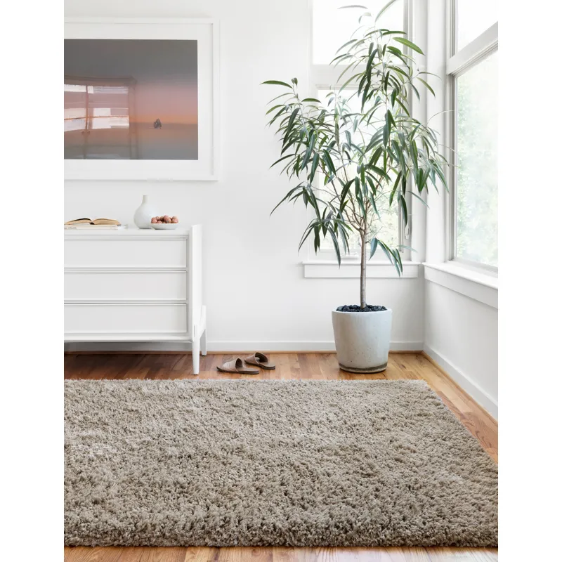 Mila Shag Taupe Rug (2' 3" X 3' 9")