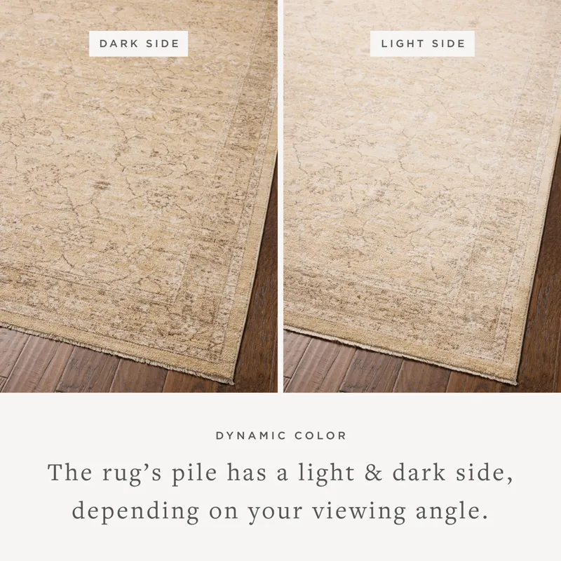 Chris Loves Julia x Loloi Palma Wheat / Bark 2\'-7\" x 7\'-6\" Rug