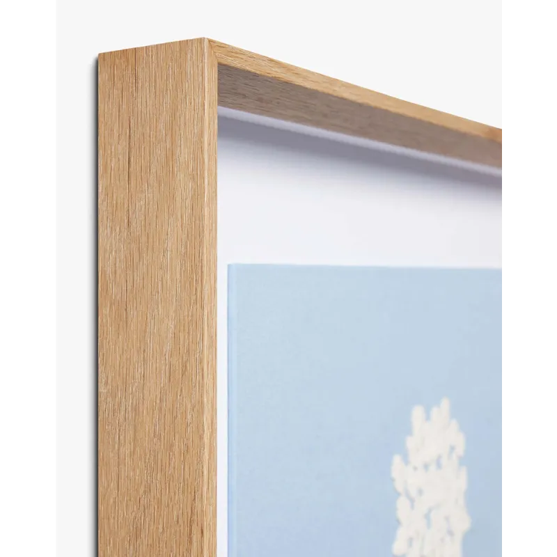 Loloi X Rifle Paper Co. 29\" X 24\" Wall Art