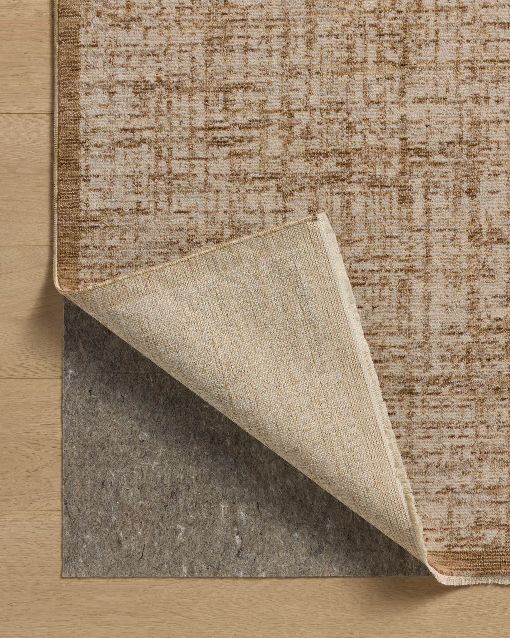 Loloi Winston Rug