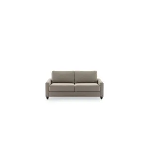 Max Loveseat Sleeper