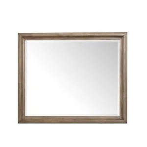 Adler Court Framed Mirror