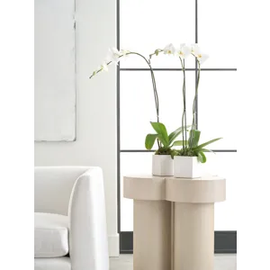 Orlando Diaz-Azcuy Curacao Side Table