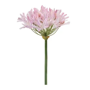 Pink Agapanthus Stem